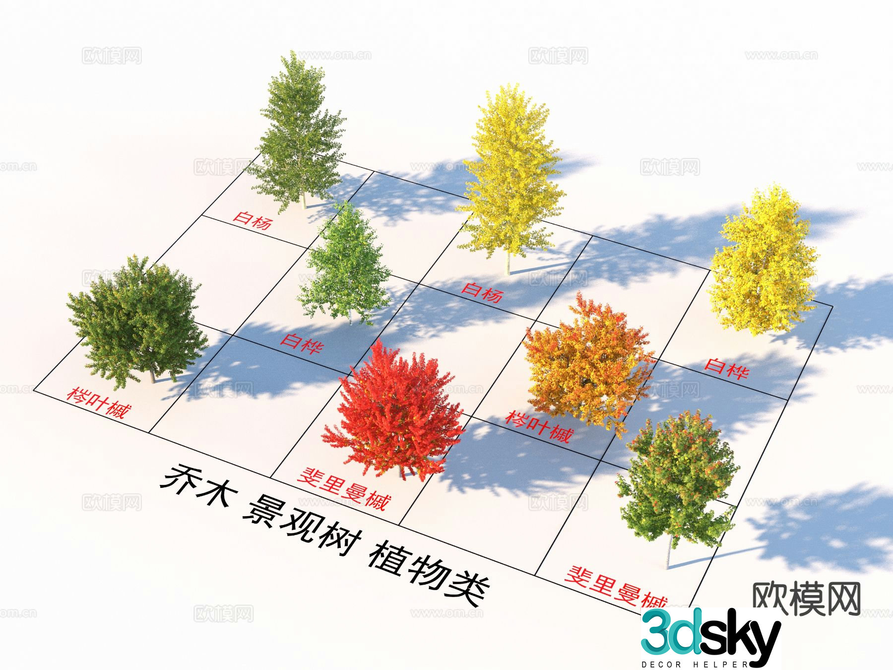 Poplar birch ash leaf maple Firiman maple tree 3D model