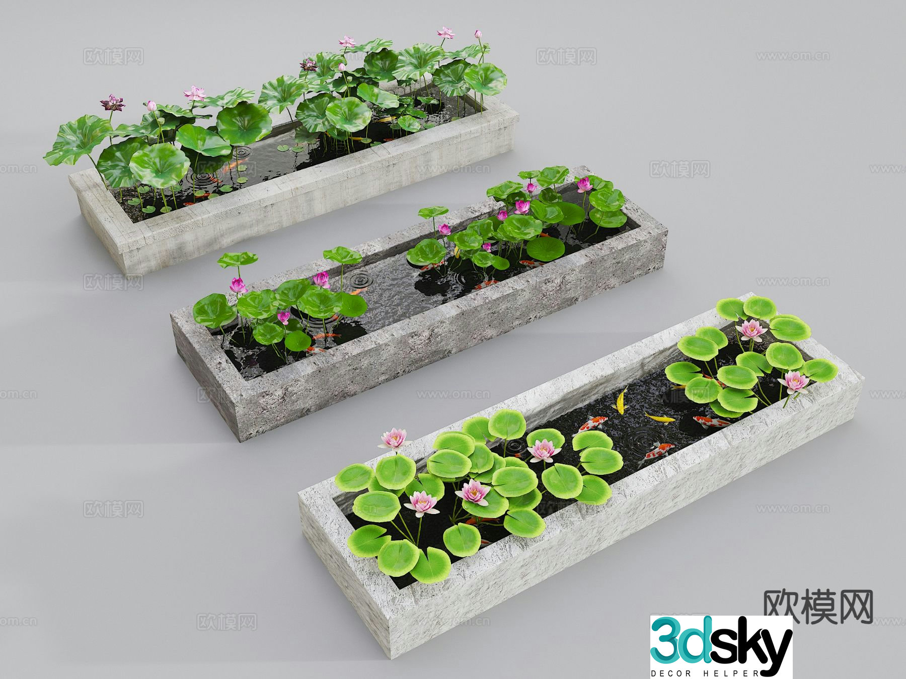 Koi pond native tank fish farming lotus pond fish pond 3d model