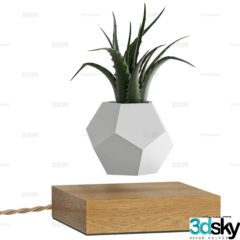 Flyte desktop small potted plant reed 3d model