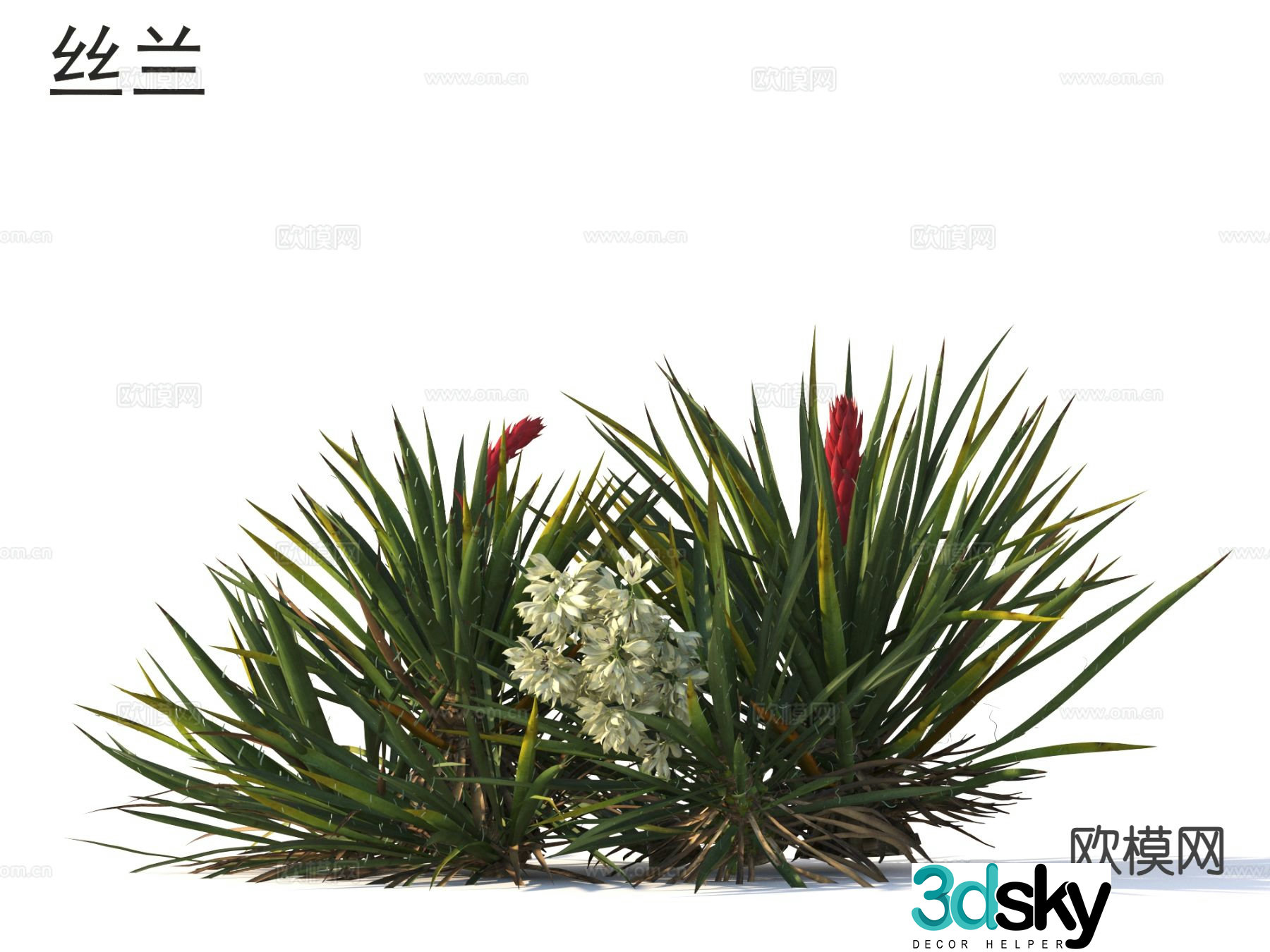 Yucca Flowers plants shrubs plants 3D model
