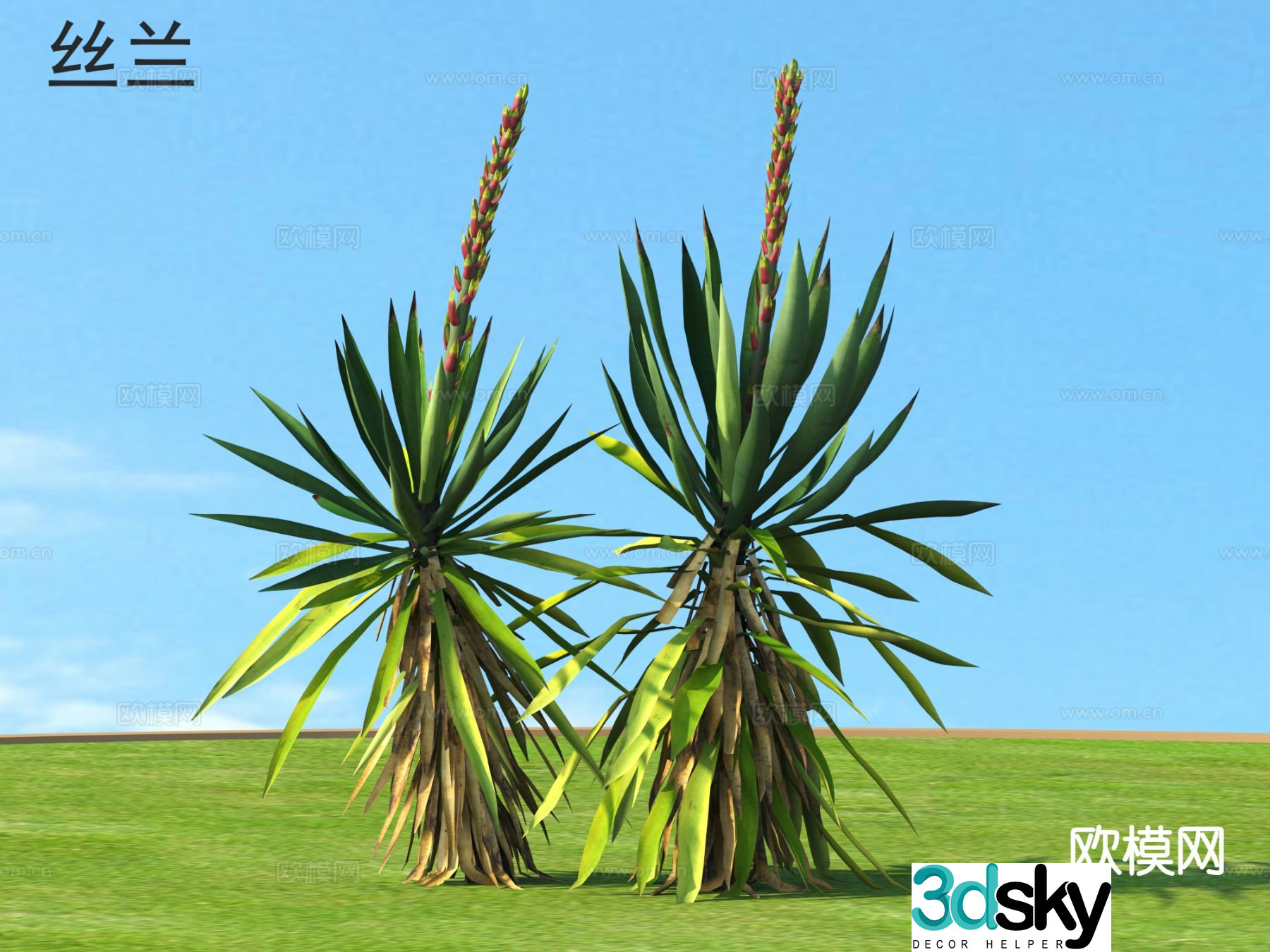 Yucca Flowers and Shrubs Tropical Shrubs 3D Model