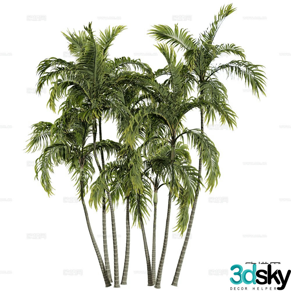 Modern beach tree coconut tree 3d model