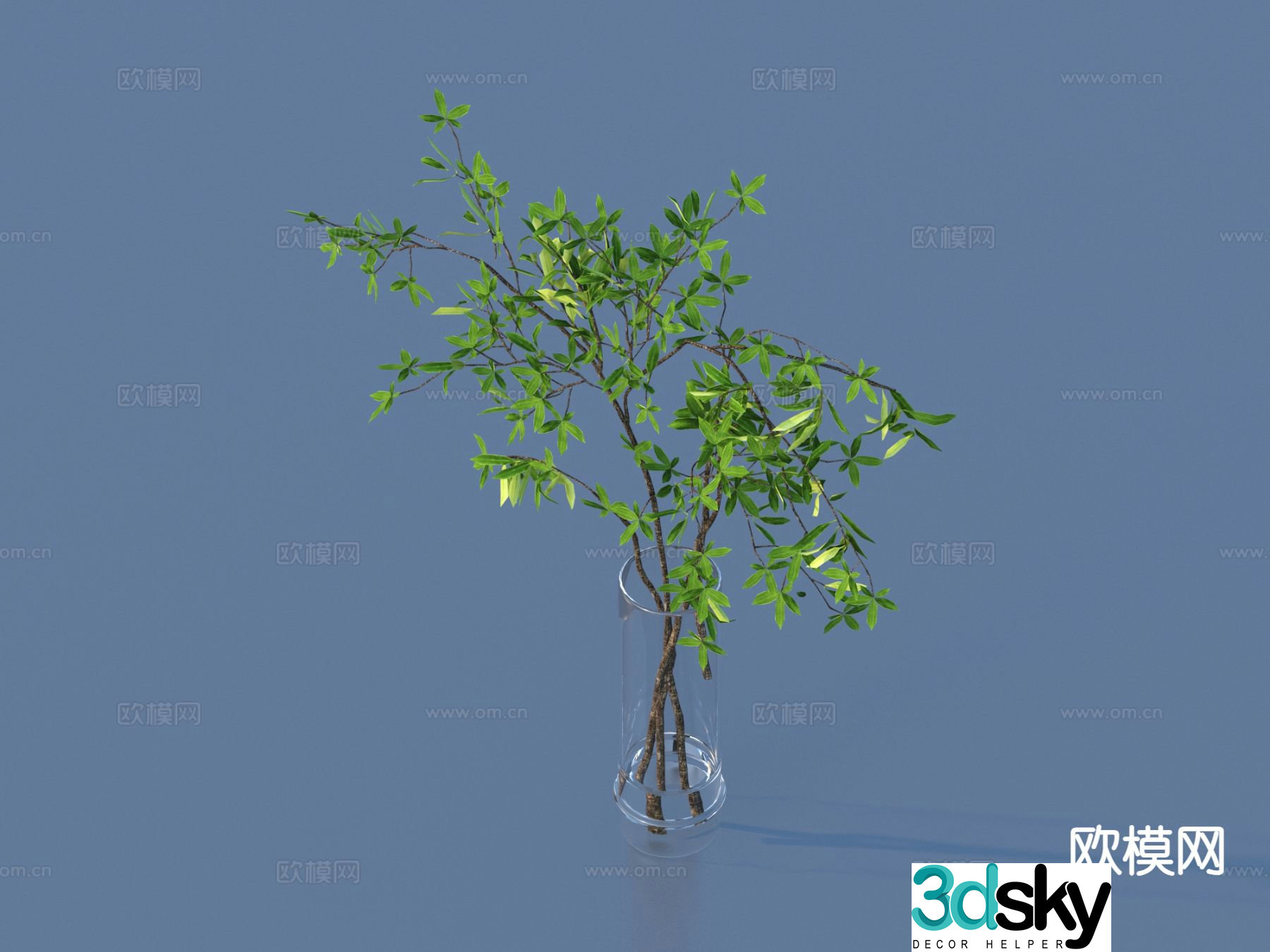 Aquatic plants hydroponic green plants 3D model