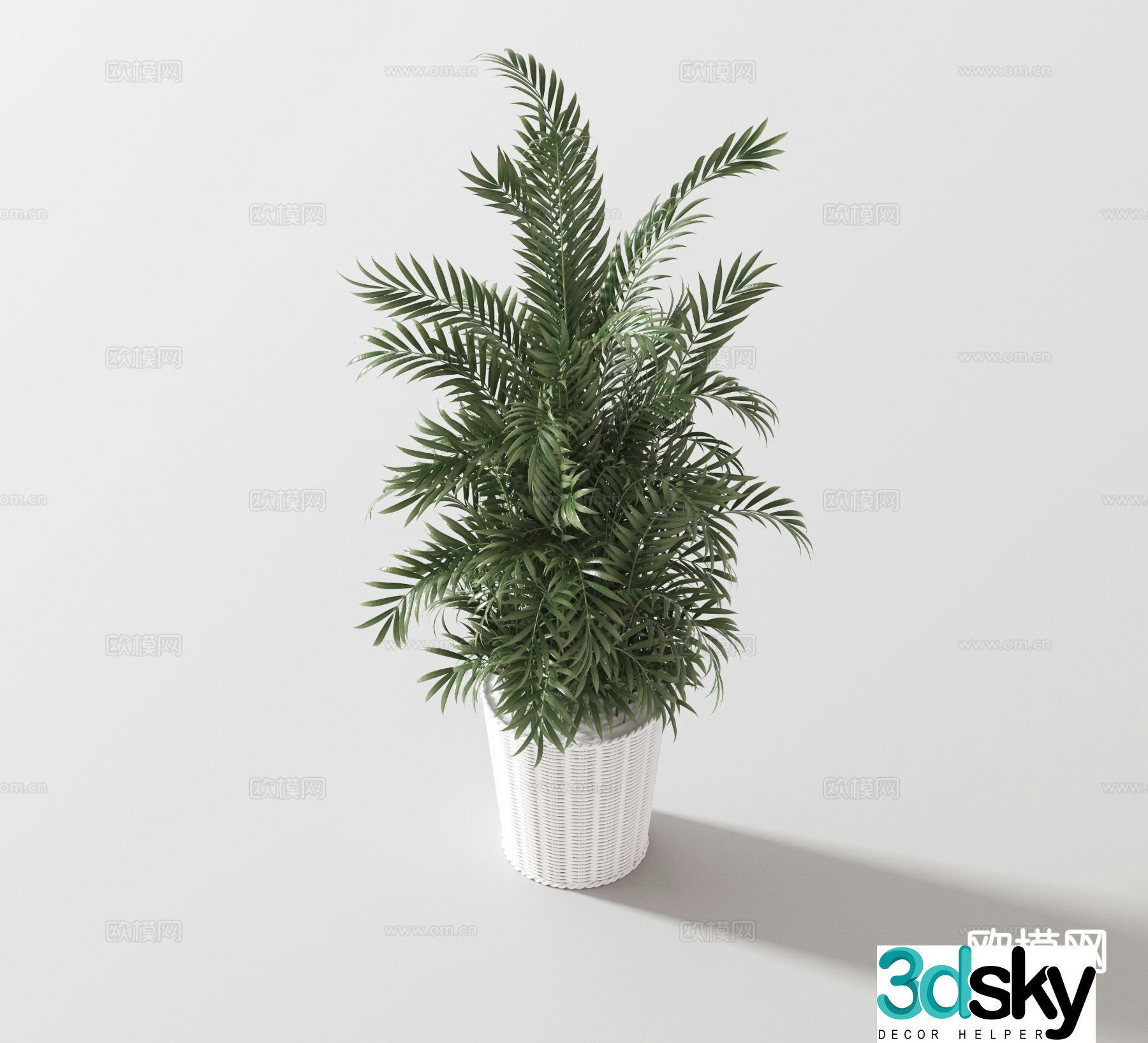 Modern green plant potted bonsai 3d model
