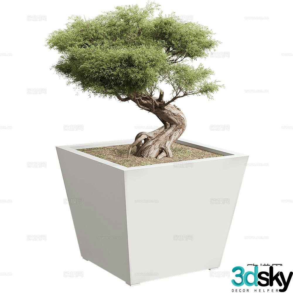Modern plants potted 3d model