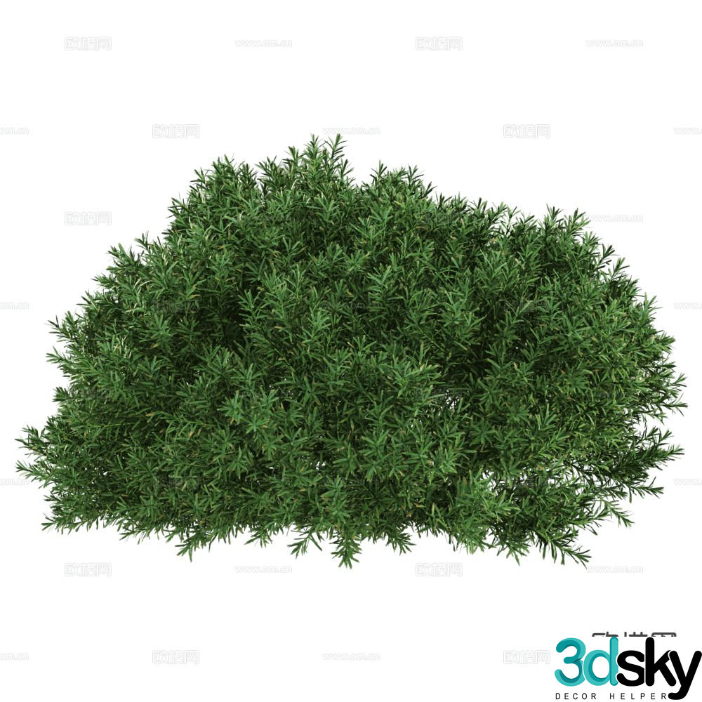 Modern Plants Shrub 3d Model