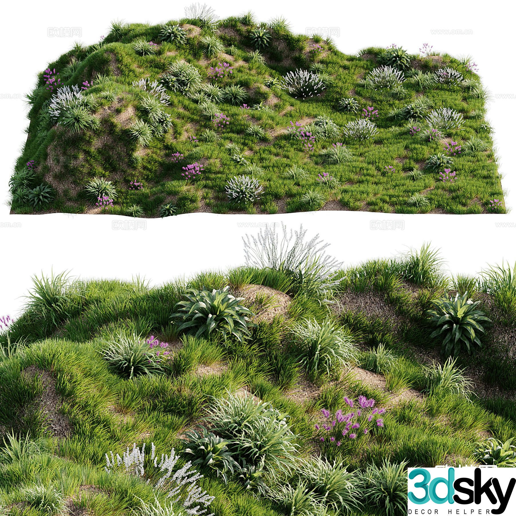 lawn grass weed moss land 3d model