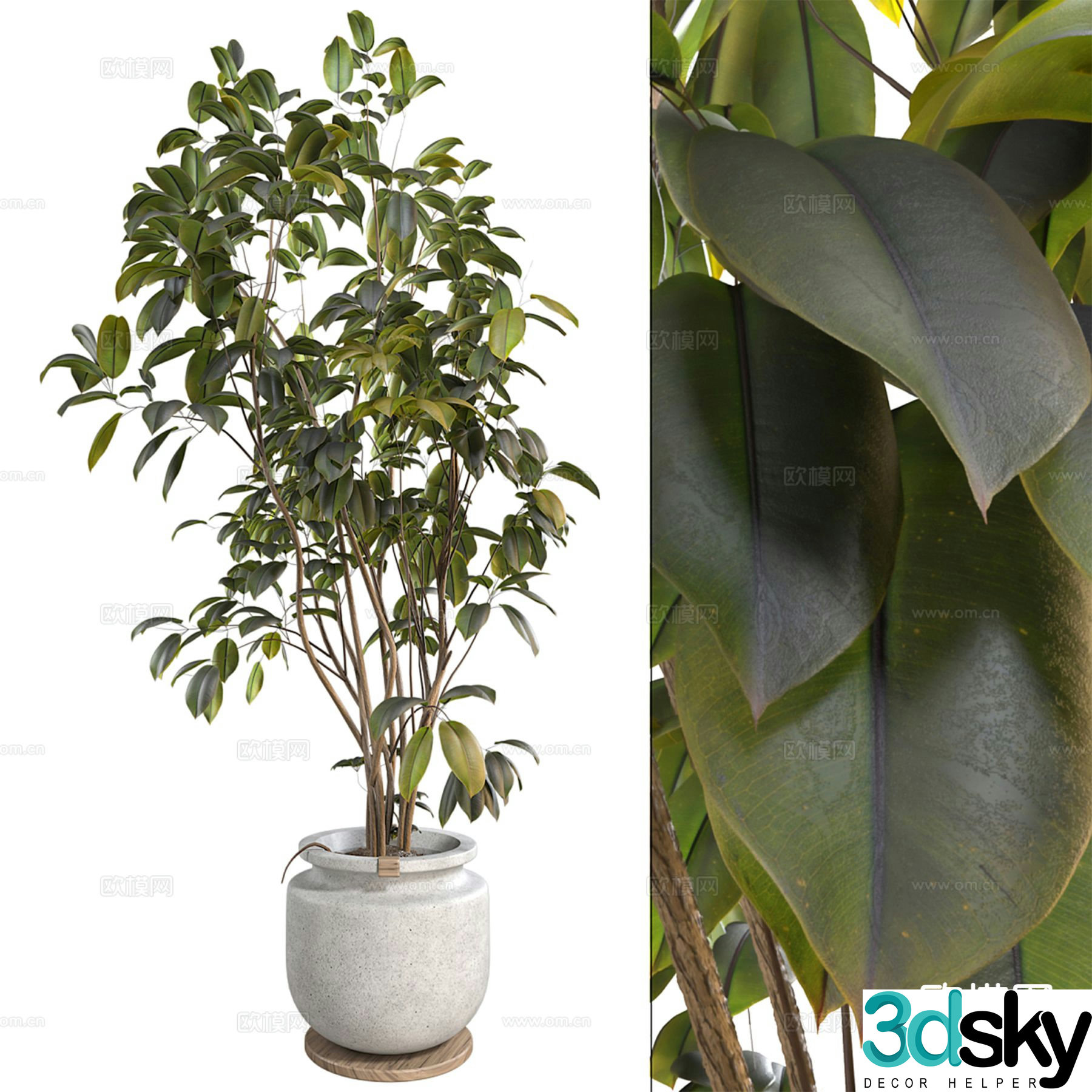 Potted plants Bonsai Jungle Banyan Tree 3D Model