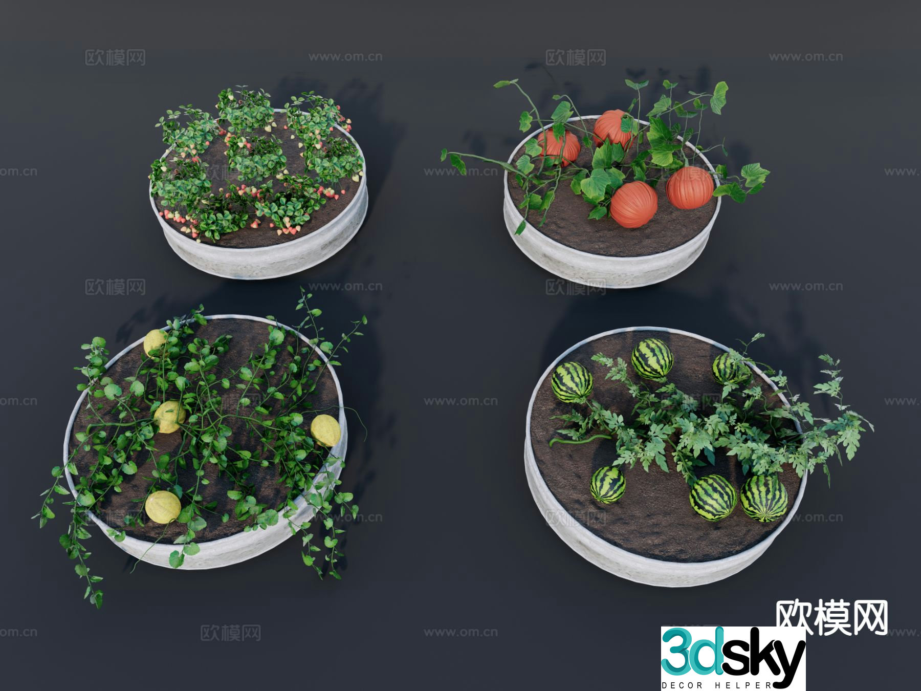Modern watermelon pumpkin strawberry cantaloupe 3d model
