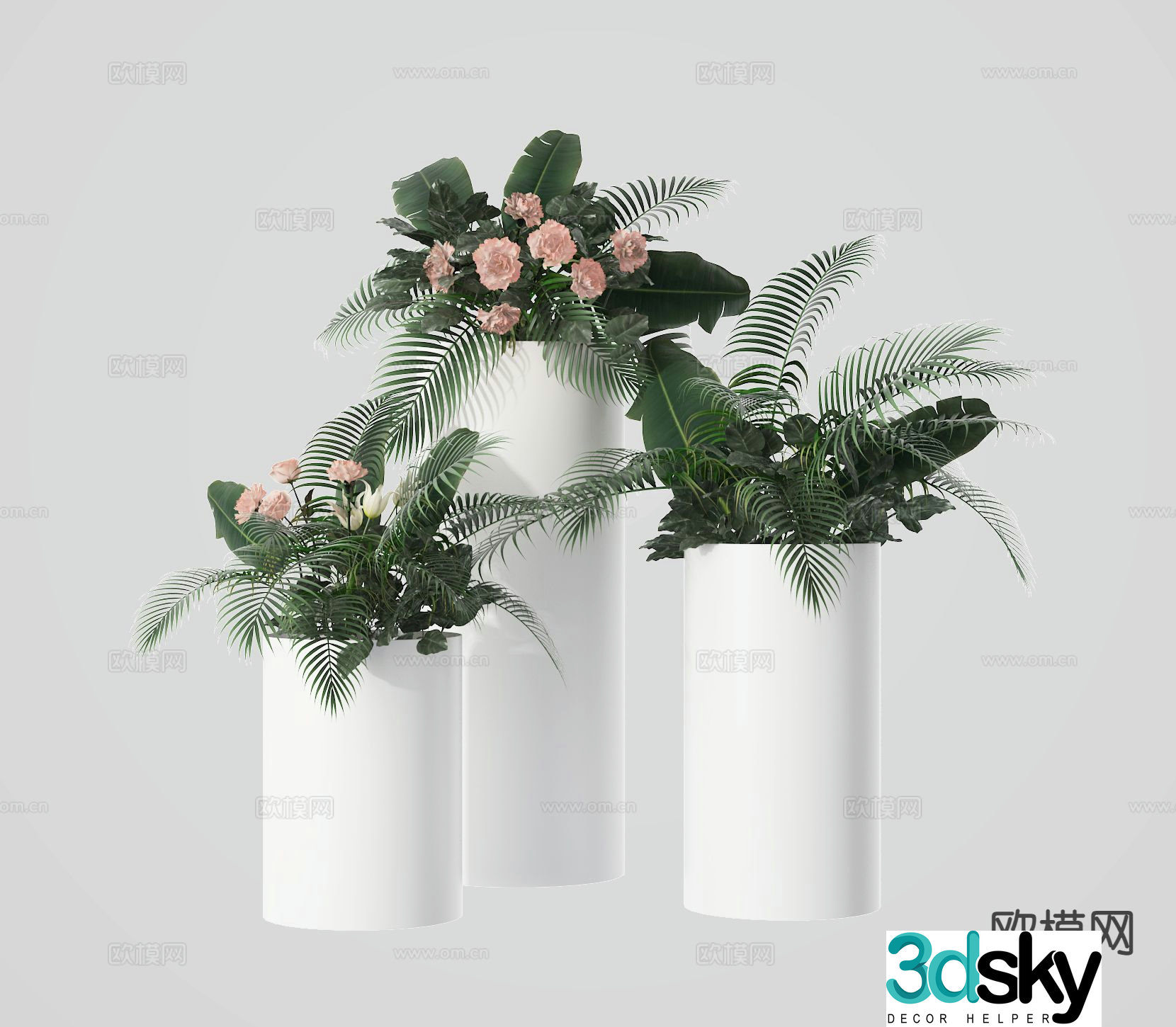 Modern plant potted 3D model