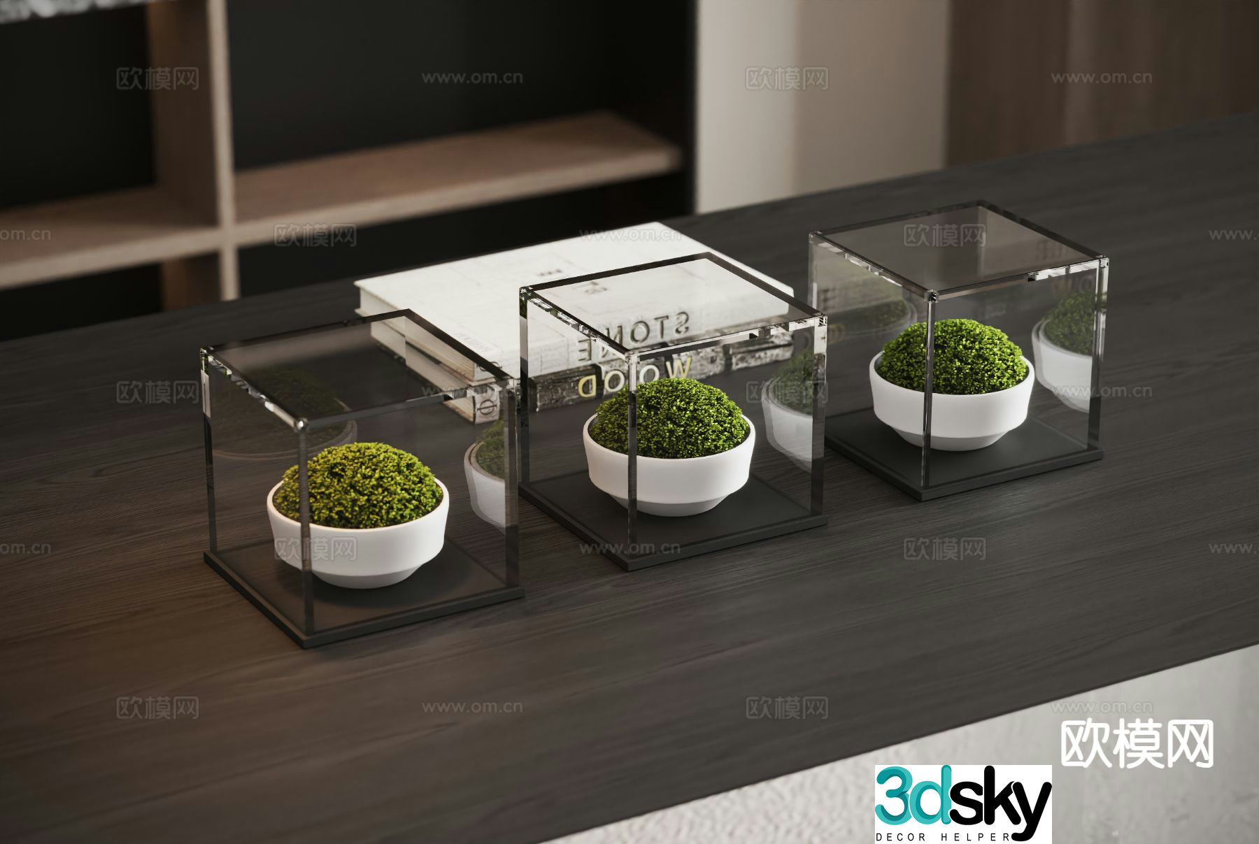 Modern plant moss 3d model