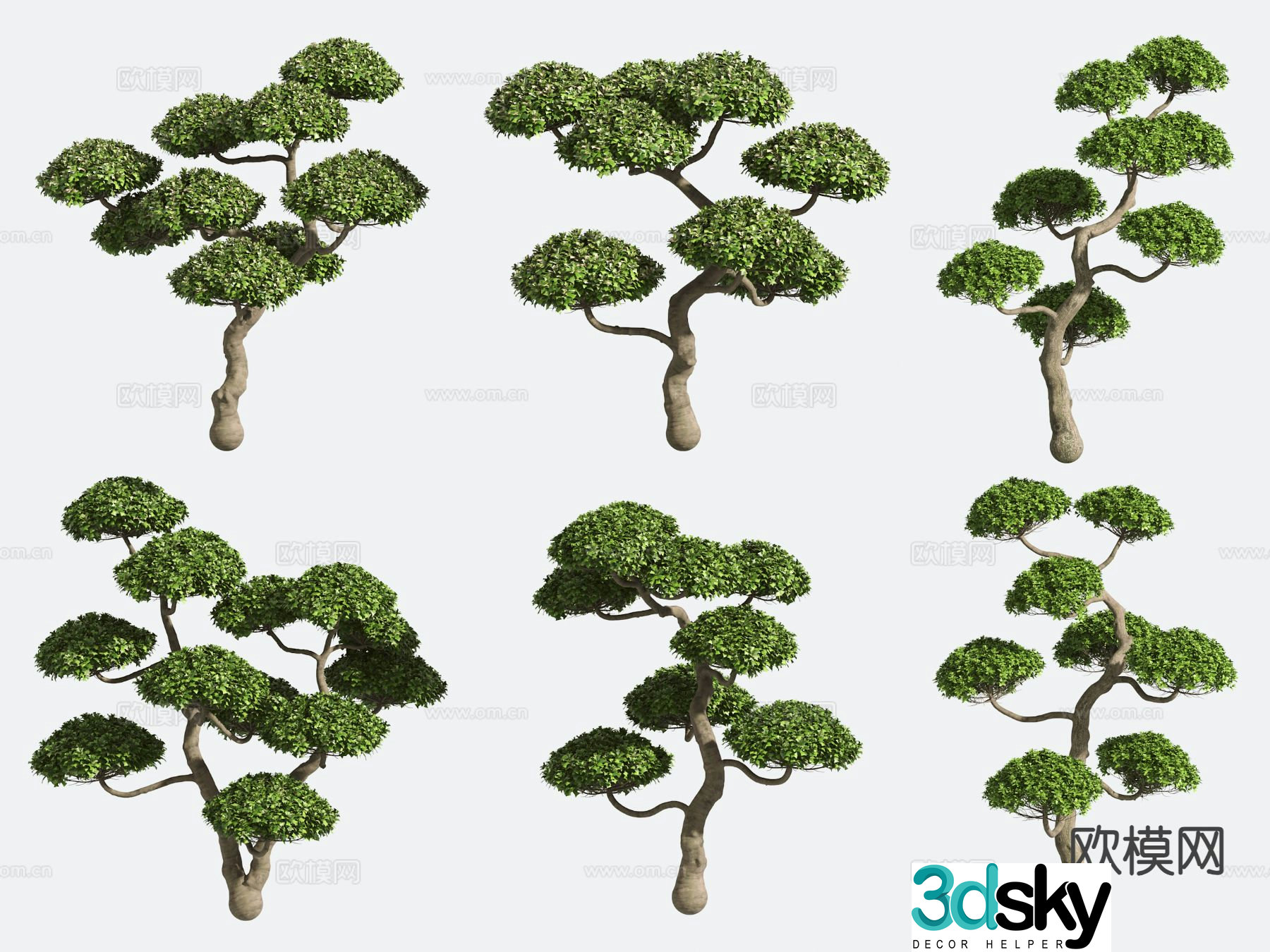Small tree Modeling tree Gardening Landscape tree 3d model