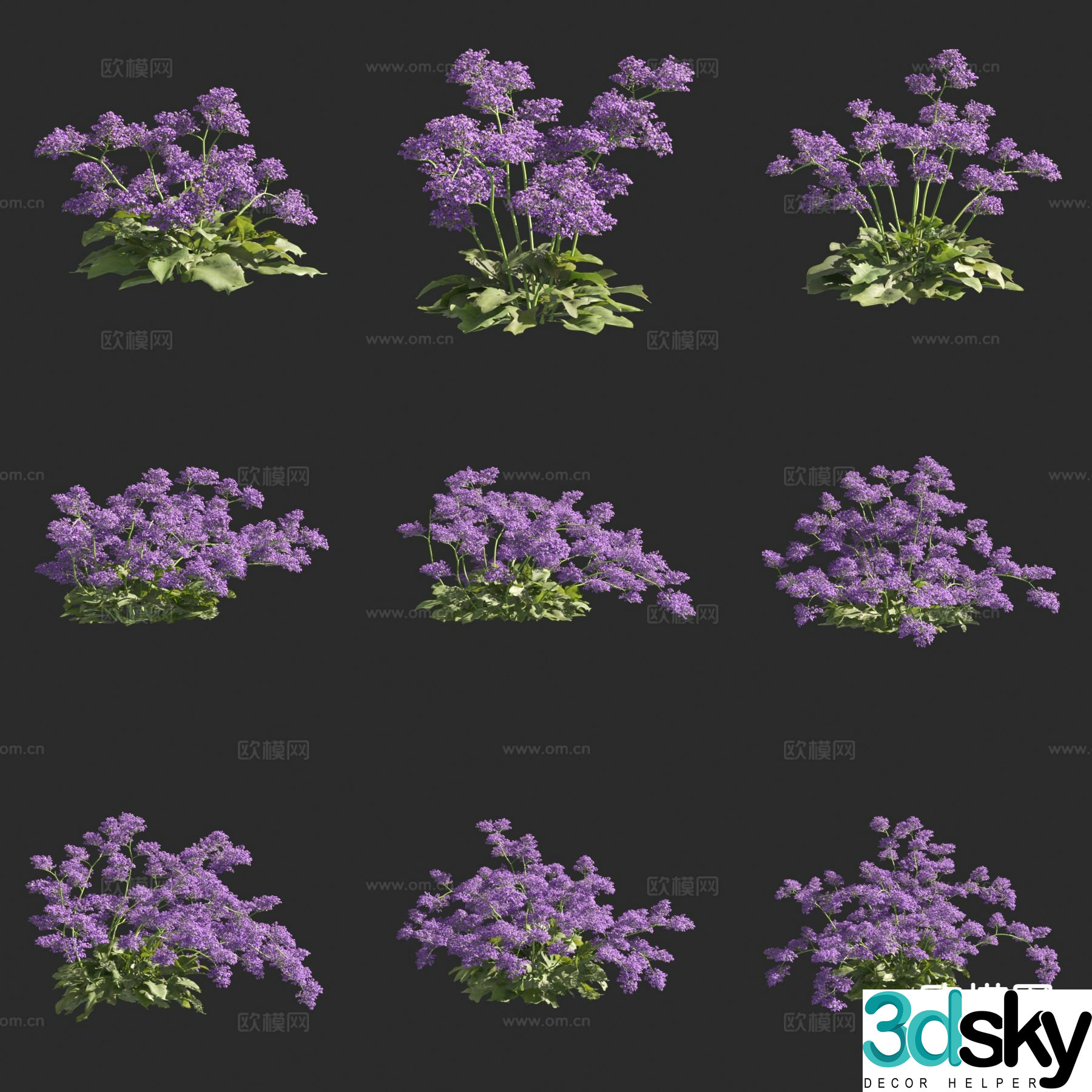 Canaria Blood-Replenishing Grass Flowers and Grass 3D Model