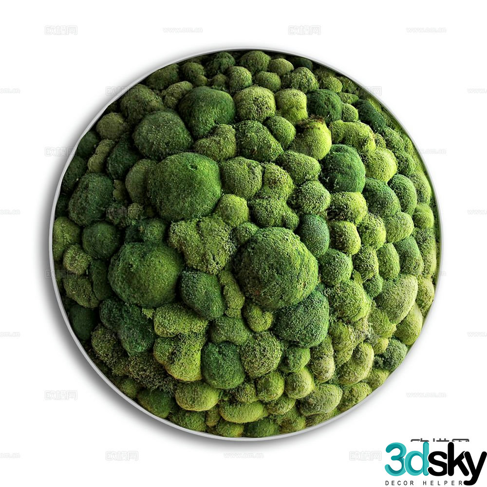 Moss wall decoration green plant wall decoration circular plant wall 3d model