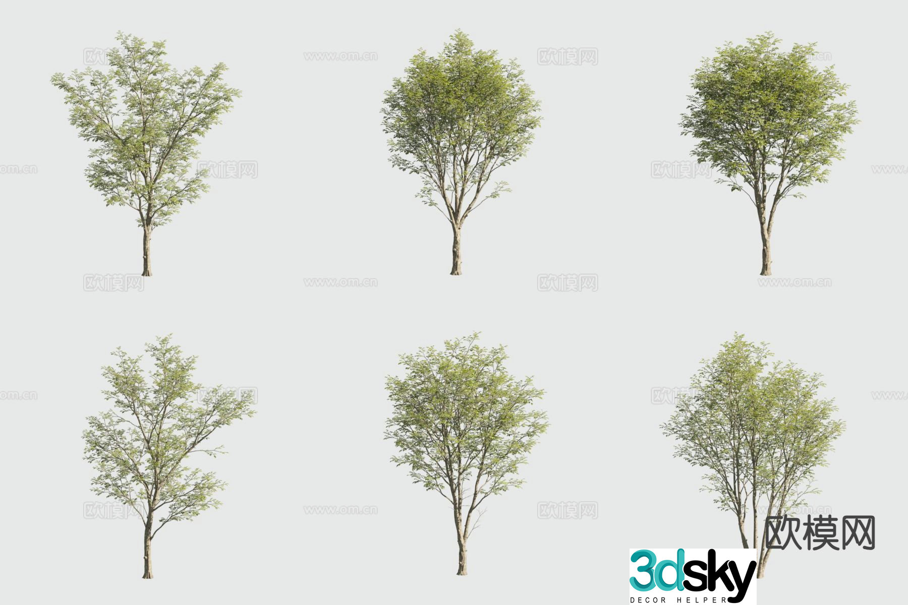 Green Tan Money Tree Landscape Tree 3D Model