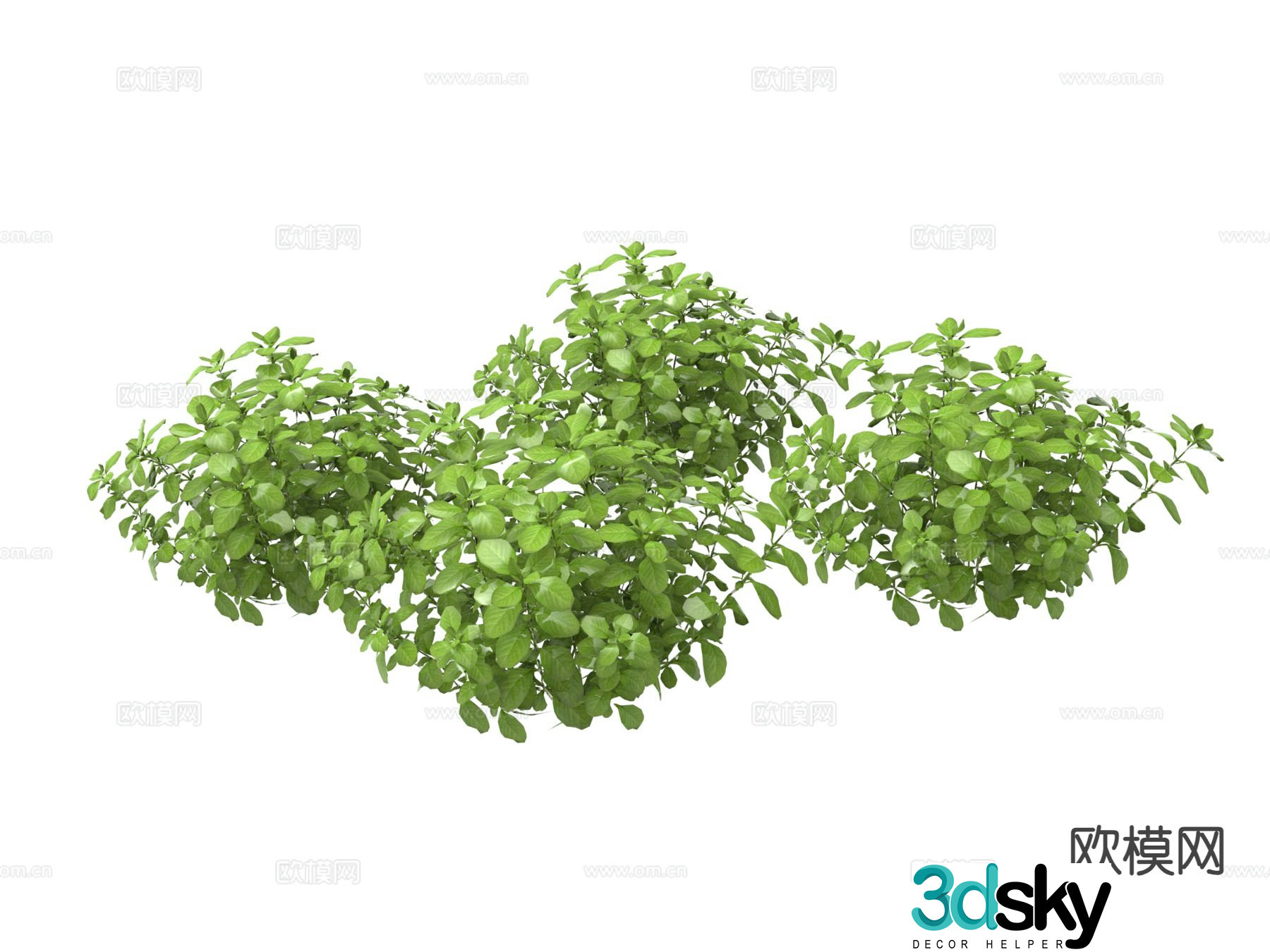 Green plants Flowers and plants 3d model
