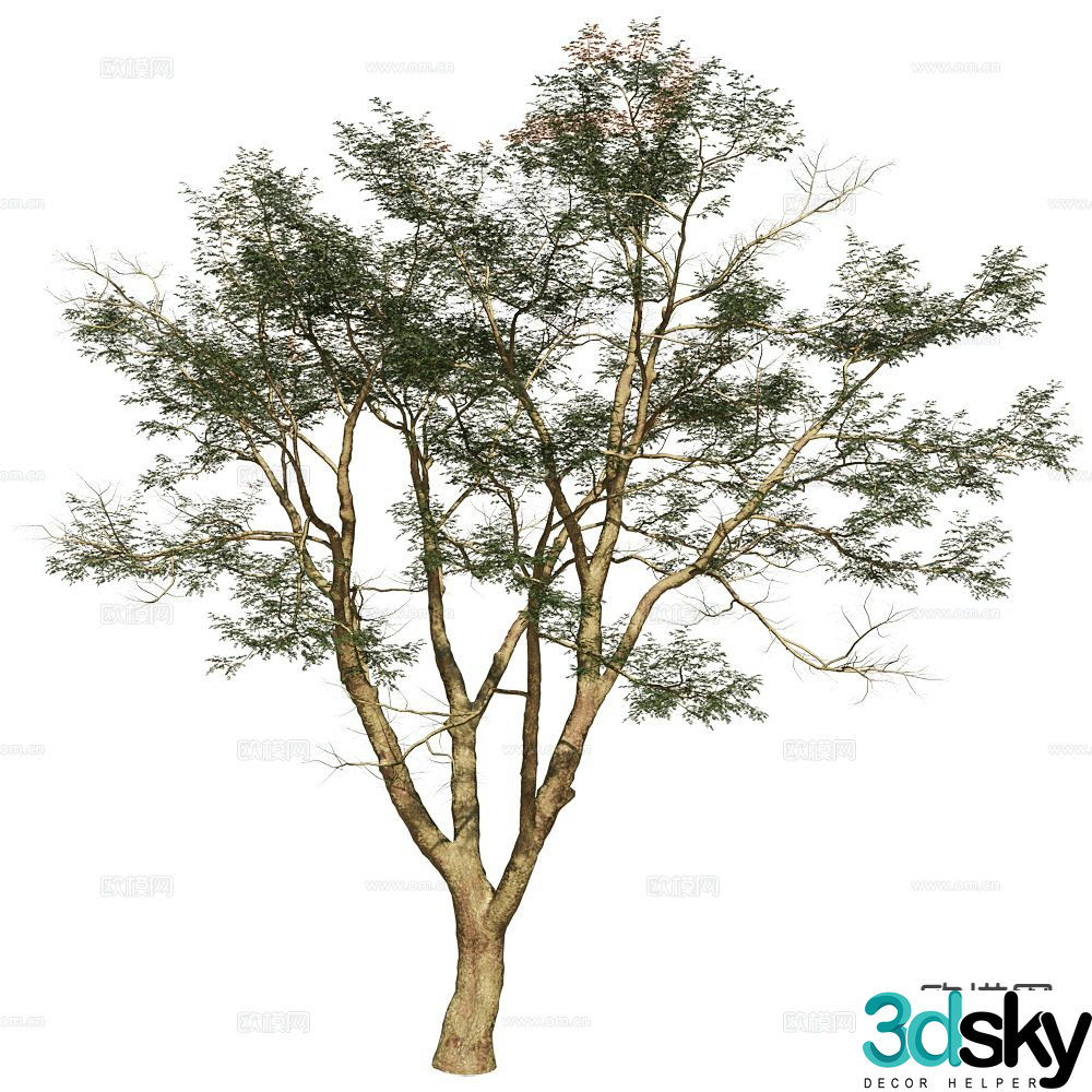 Modern tree green tree 3d model