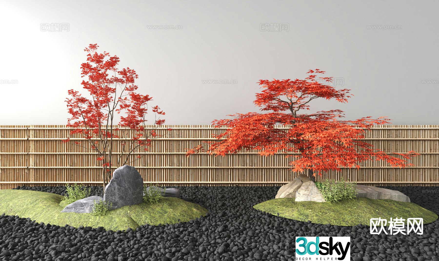 Japanese red maple landscape 3D model