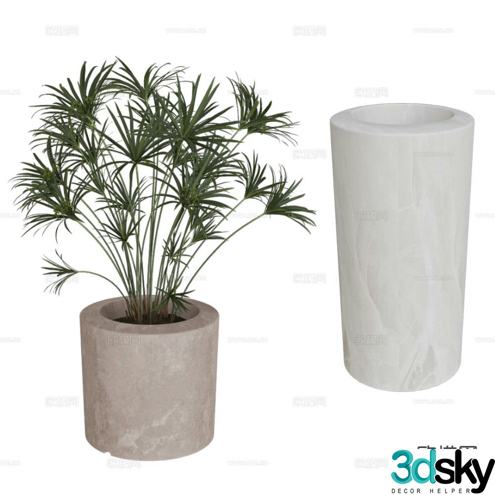 Serralunga potted bonsai 3d model