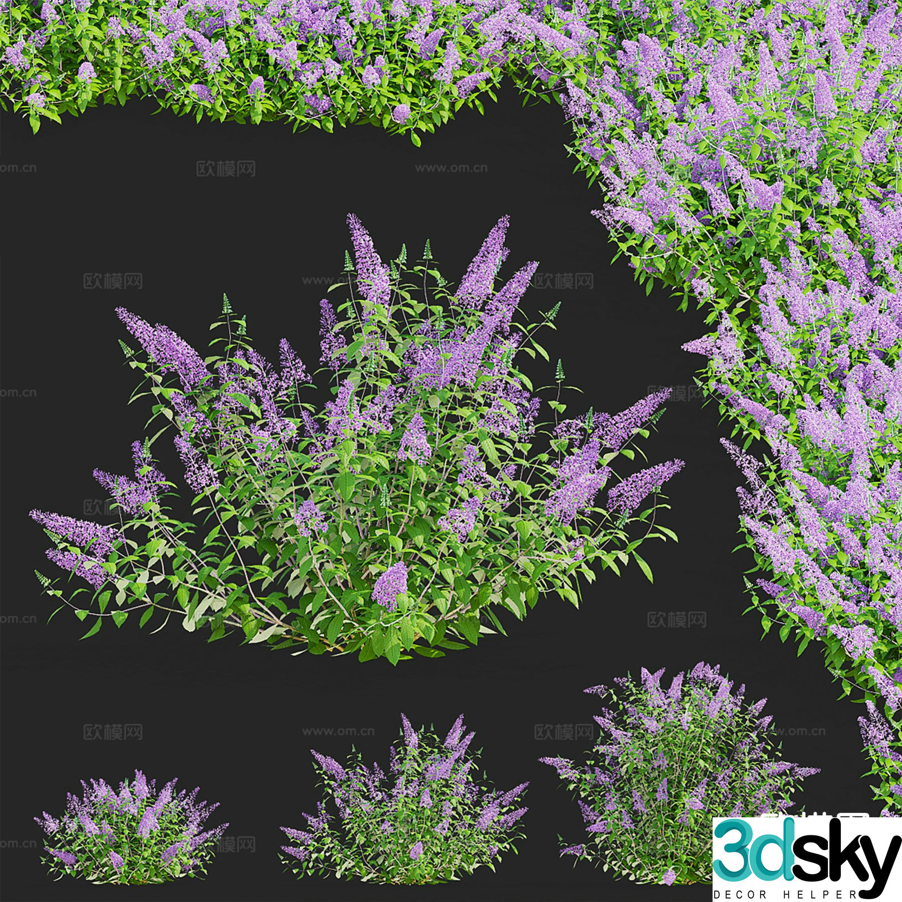 Modern Flowers and Plants 3D Model