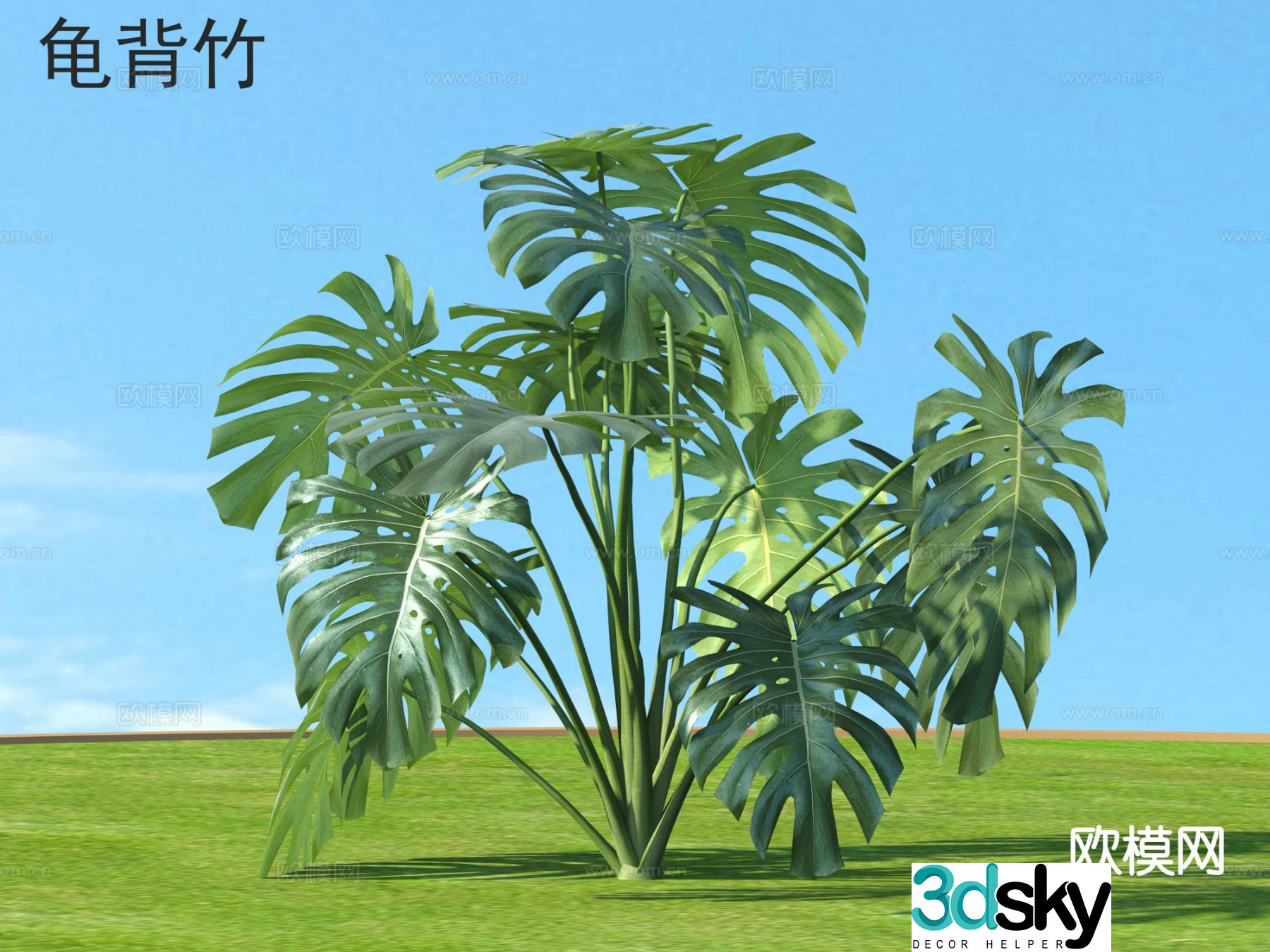 Monstera Flowers Grass and Shrubs Plants 3D Model
