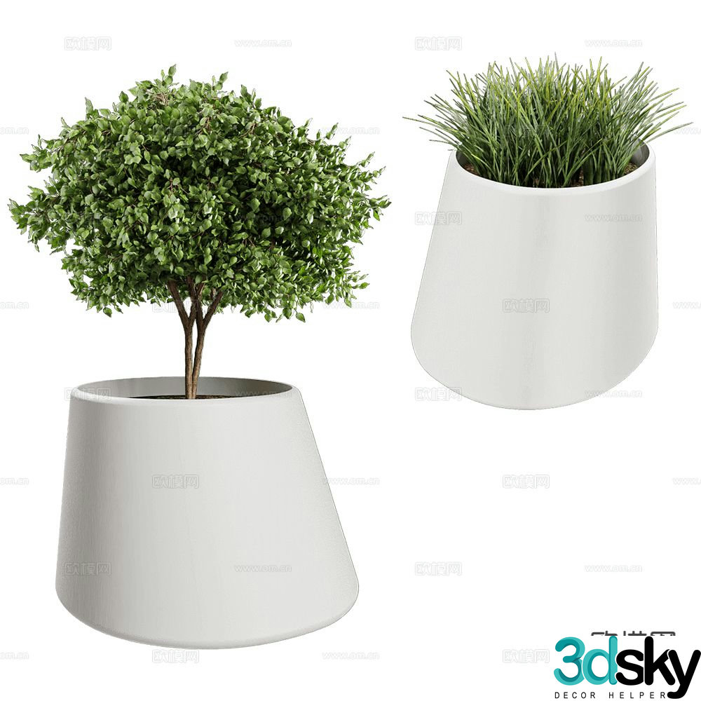 Systemtronic modern green plant potted 3d model