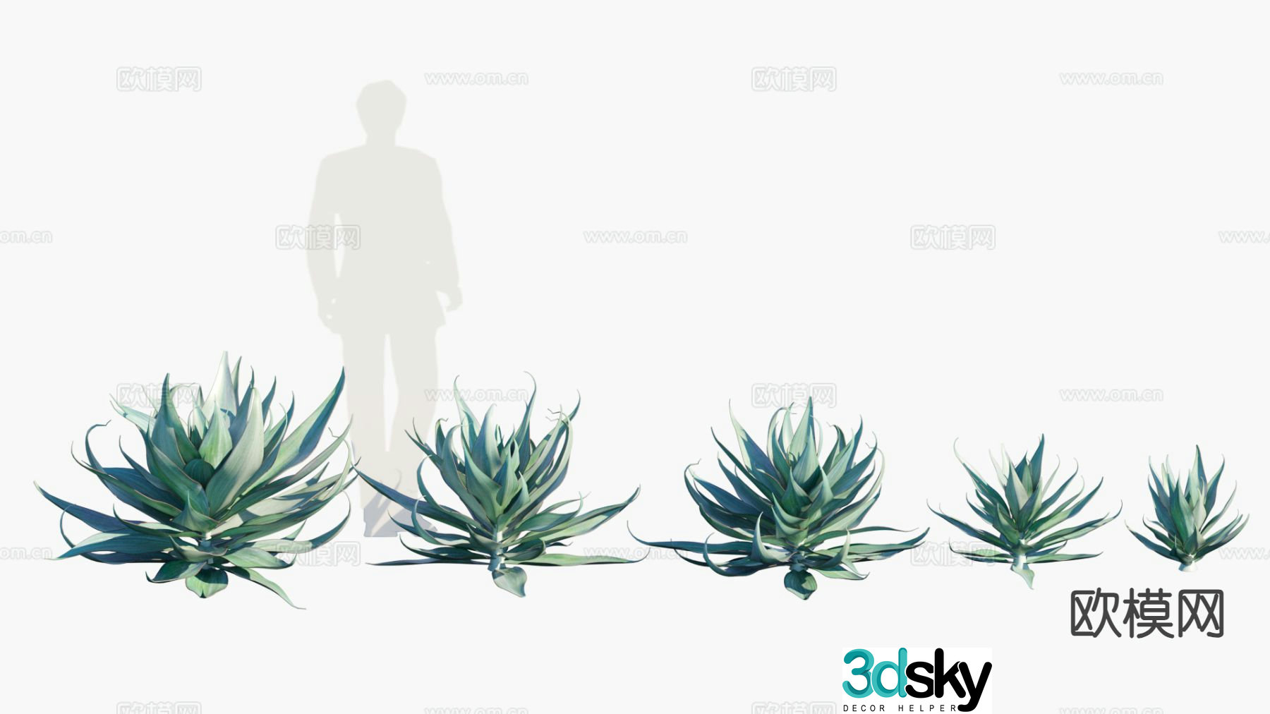 Plants shrubs hedge tropical plant shrub 3d model