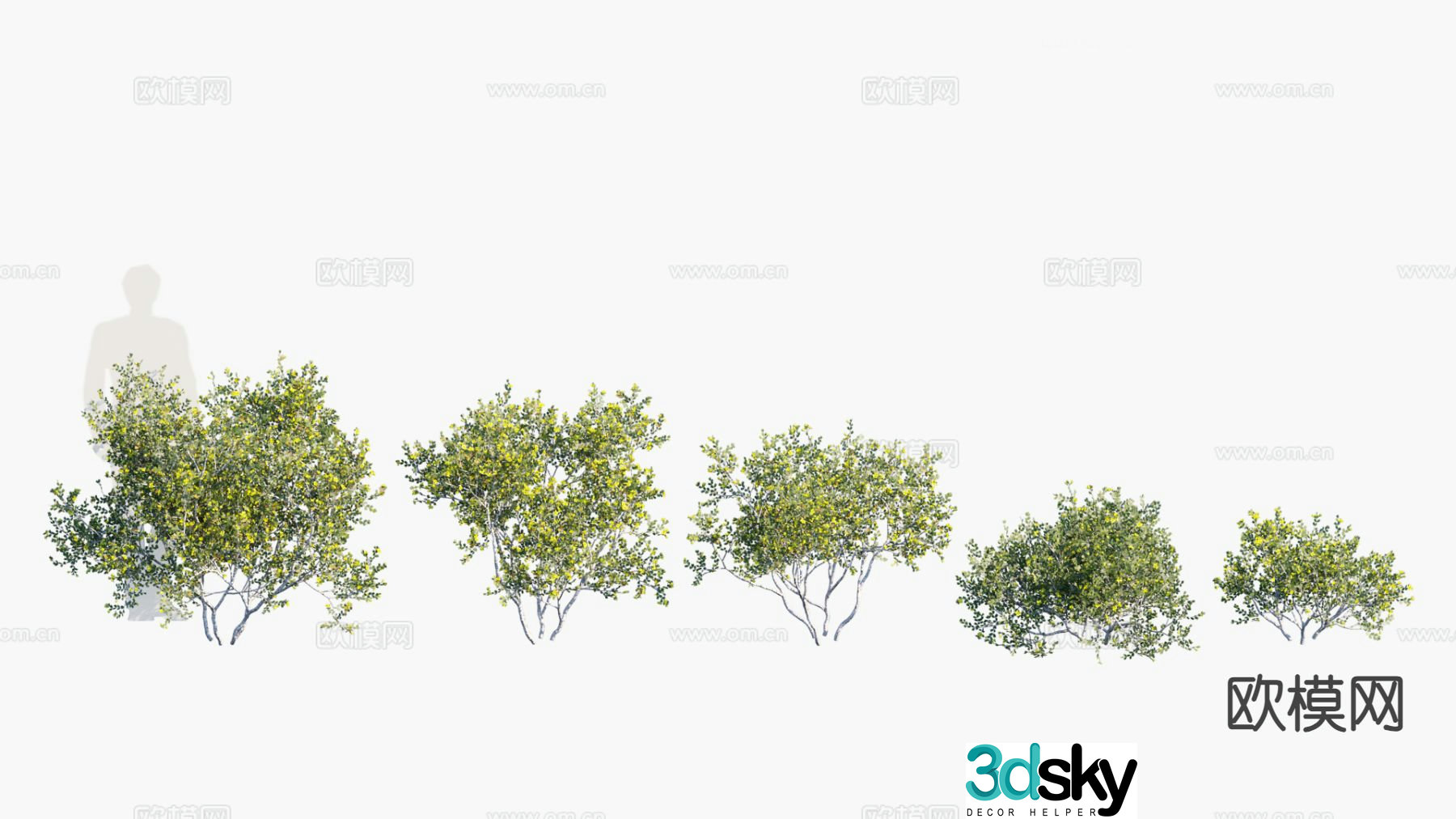 Shrub Hedge 3d model