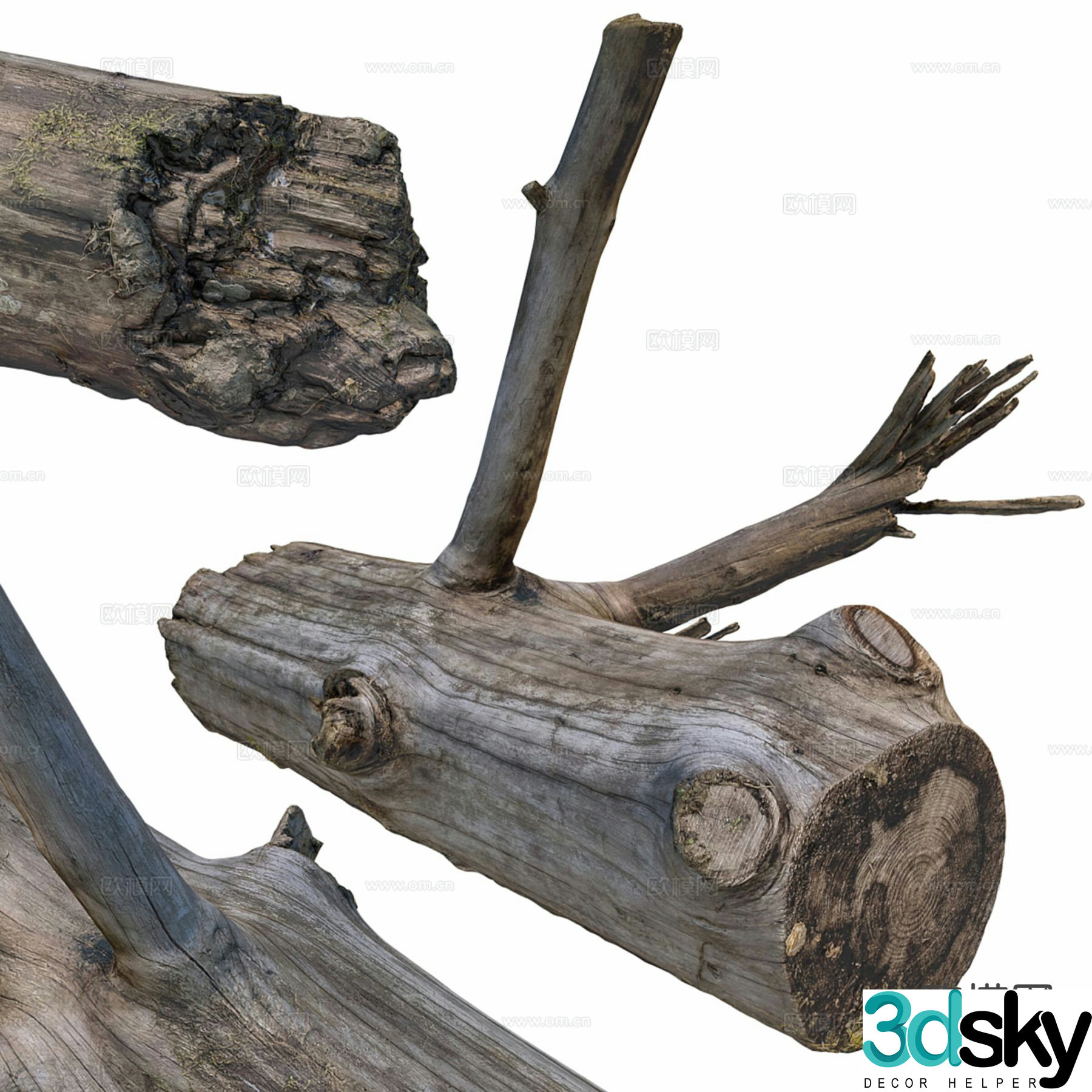 wood stump tree root 3d model