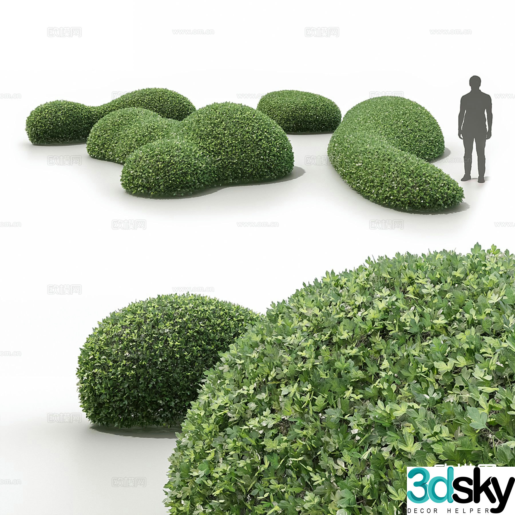 Modern shrubs plants hedges green belts 3d model