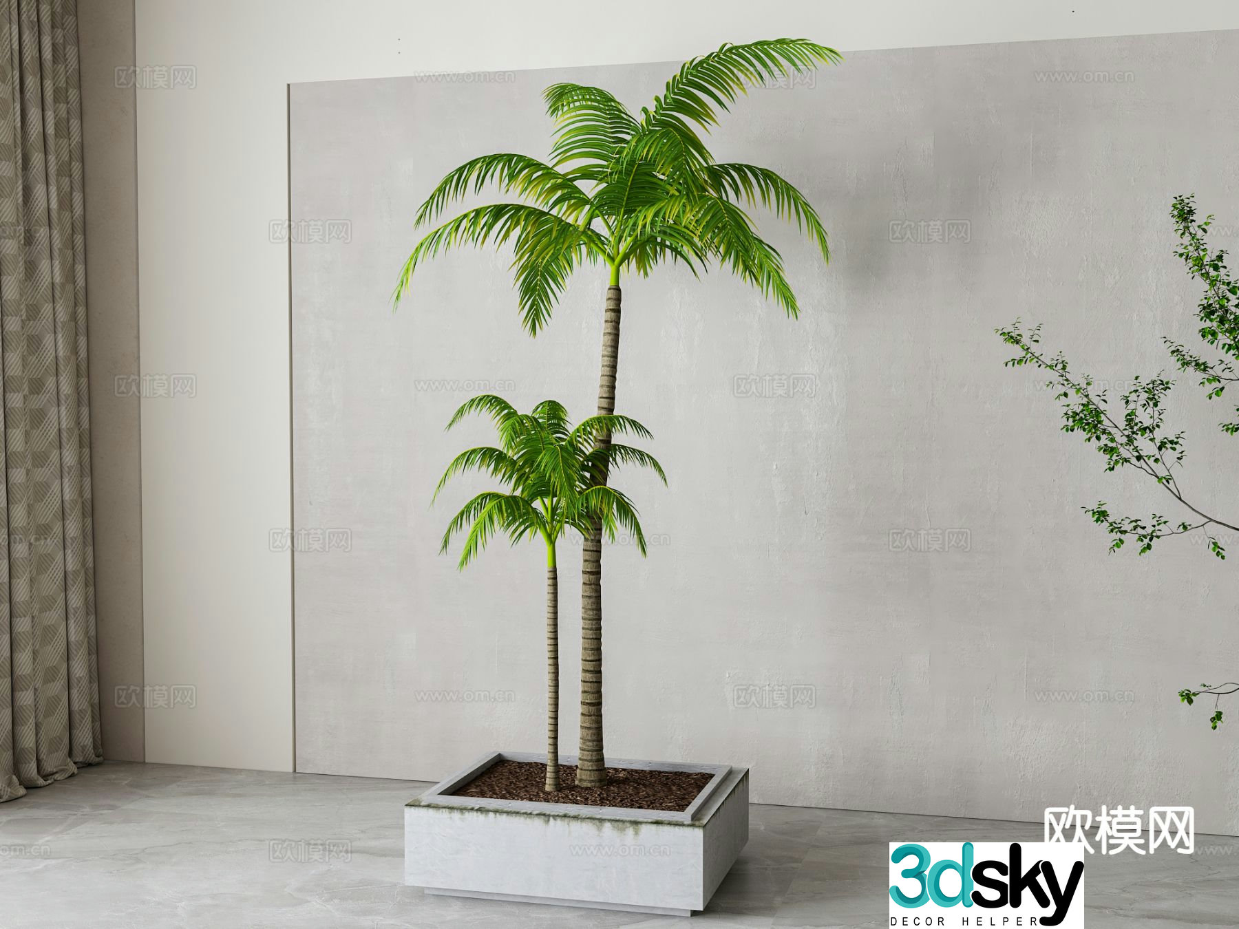 coconut tree tree pool sea tree 3d model