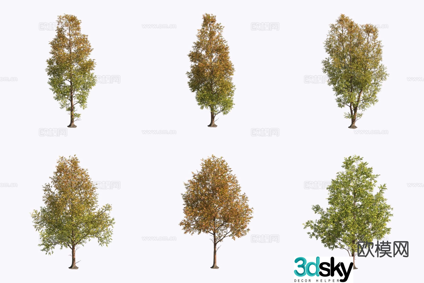 Flying feathers pine tree 3d model