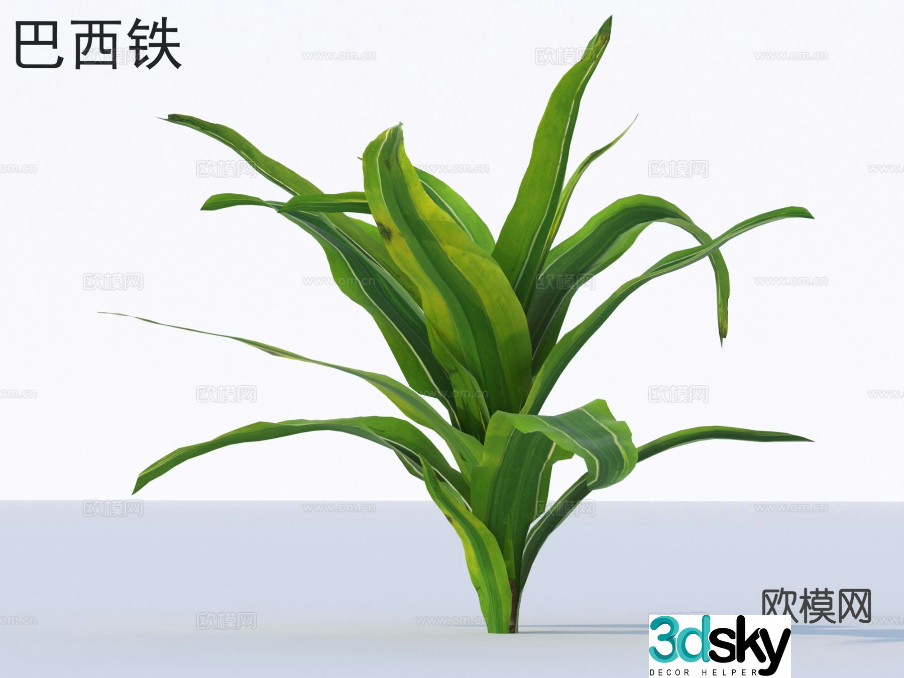 Brazilian iron flowers plants shrubs plants 3D model