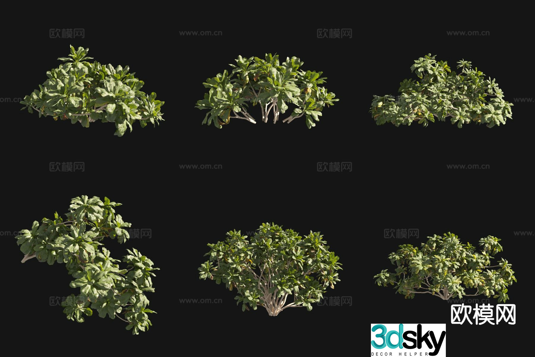 Grass Pottos Landscape Tree 3D Model