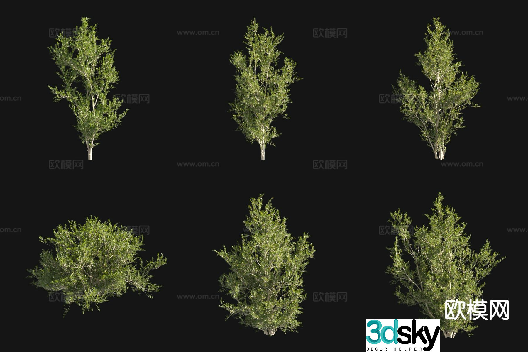 3D model of shore tree landscape tree