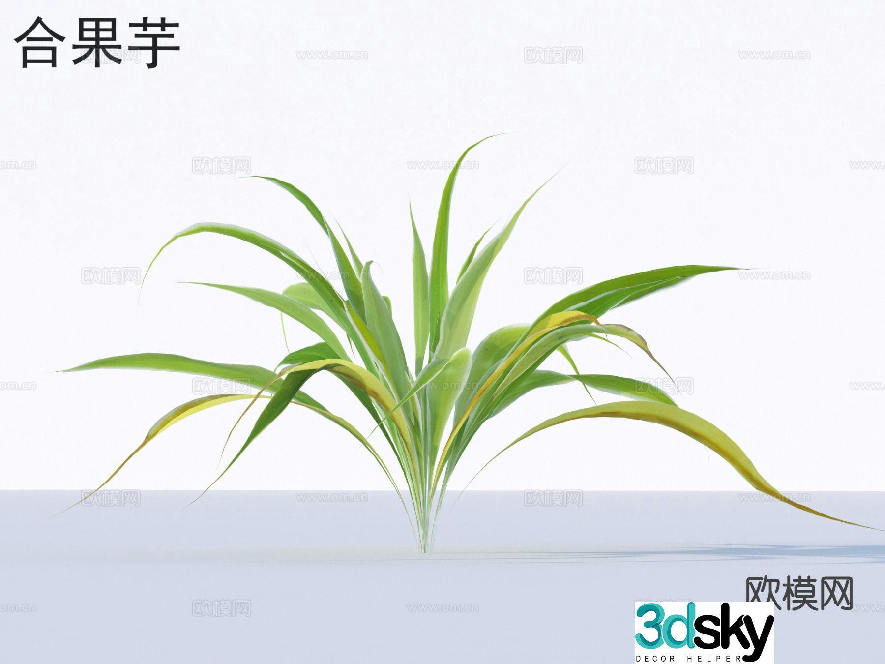 3D model of mercapto flowers plants and shrubs