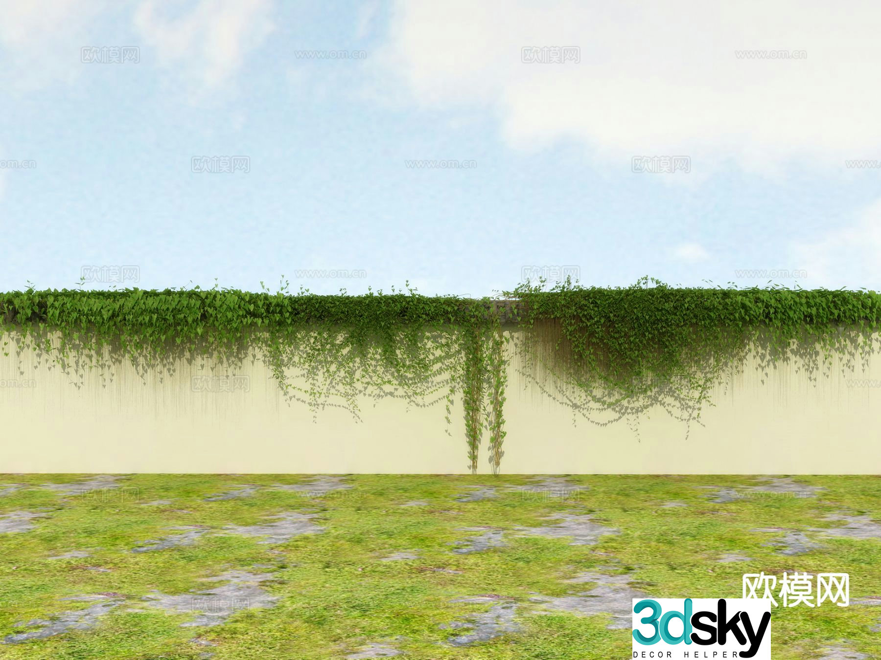 Vine Climbing Ivy 3D Model