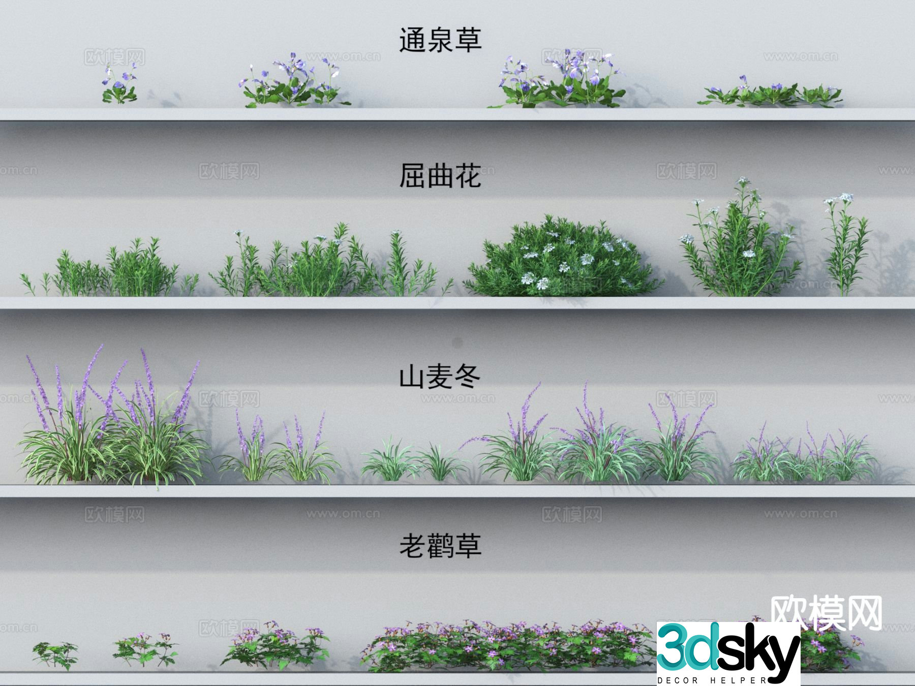 Grass Tongquan grass flexion flower Ophiopogon japonicus geranium 3D model