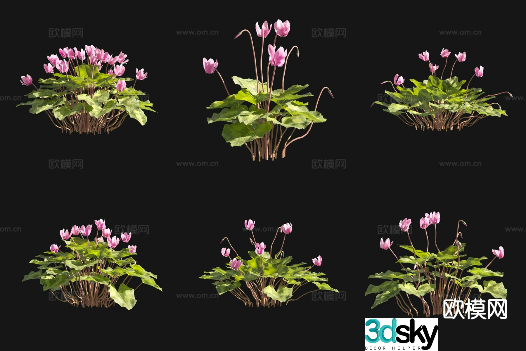 Flowers and plants Cyclops Flowers and plants 3D model