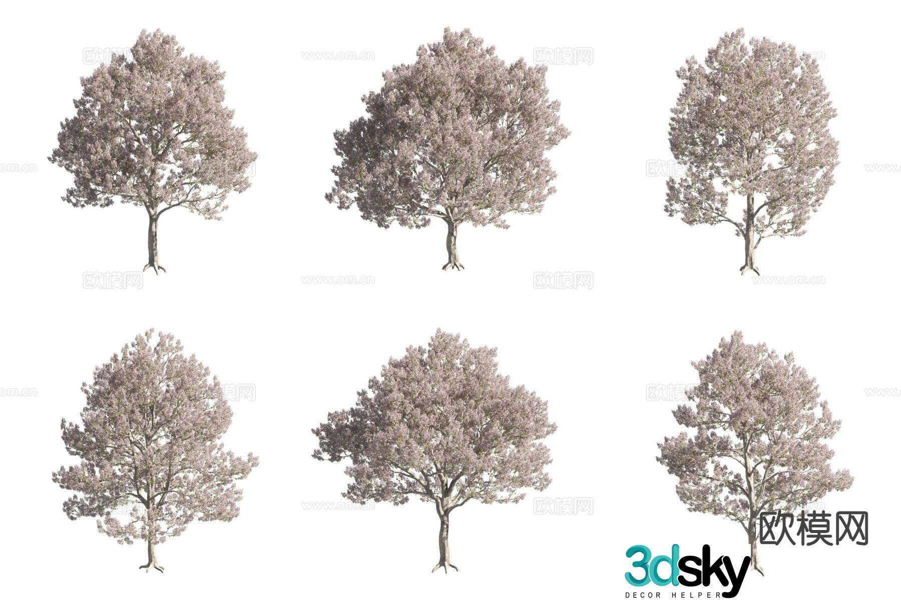 White flowers Paulownia landscape tree flower tree 3d model