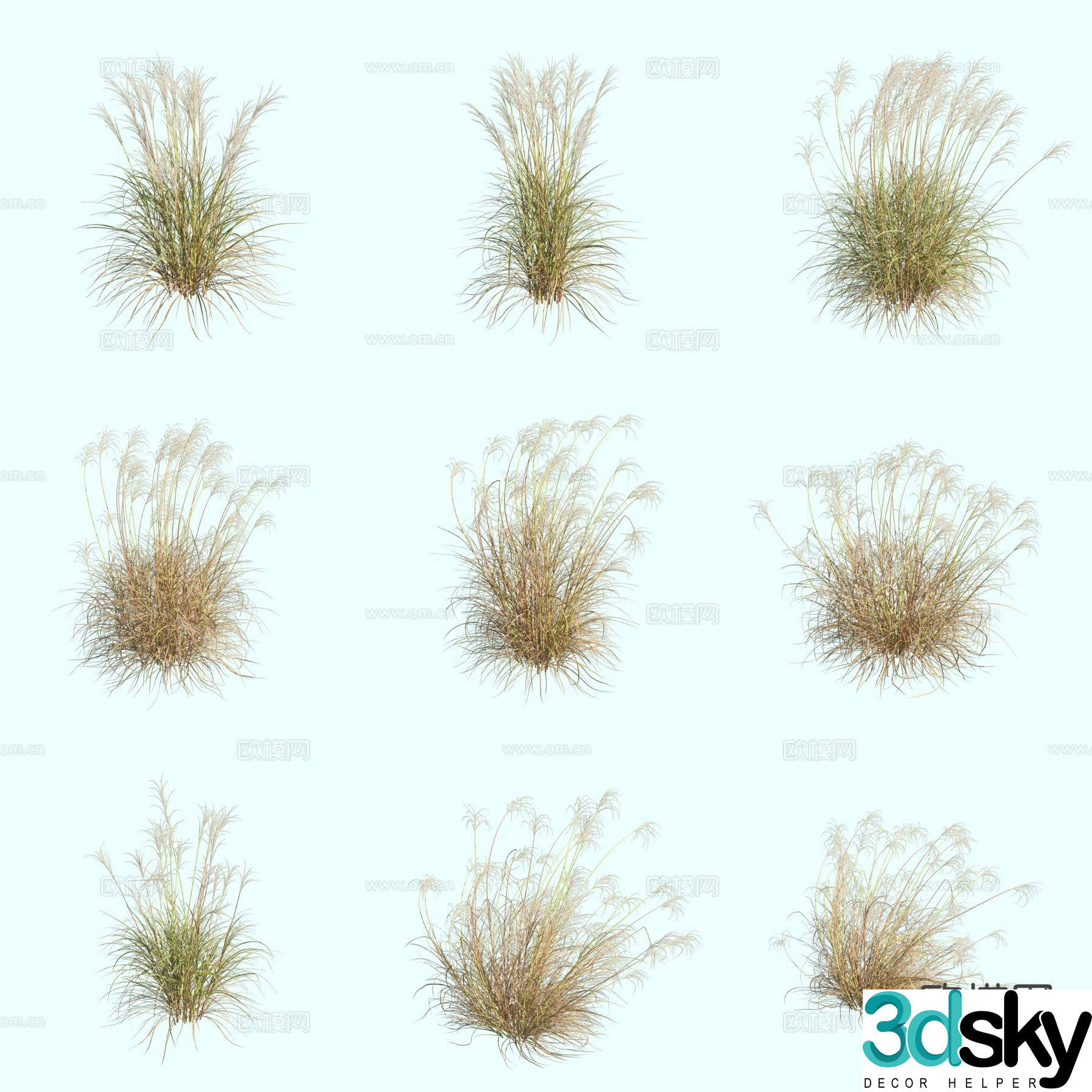 Nepalese miraculous grass ornamental grass thatch 3d model