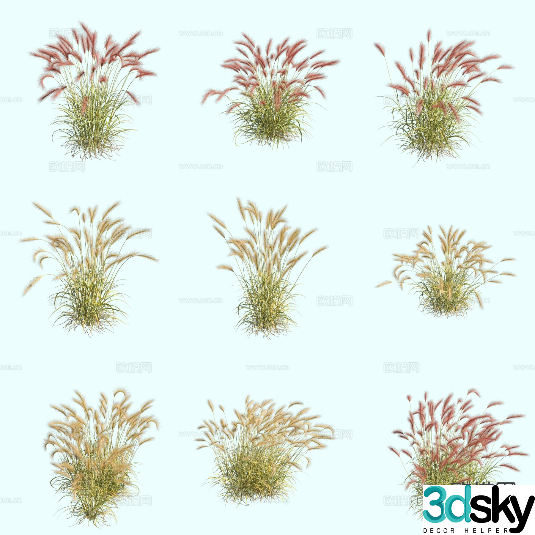 Mangying Barley Grass Ornamental Grass Thatch 3D Model