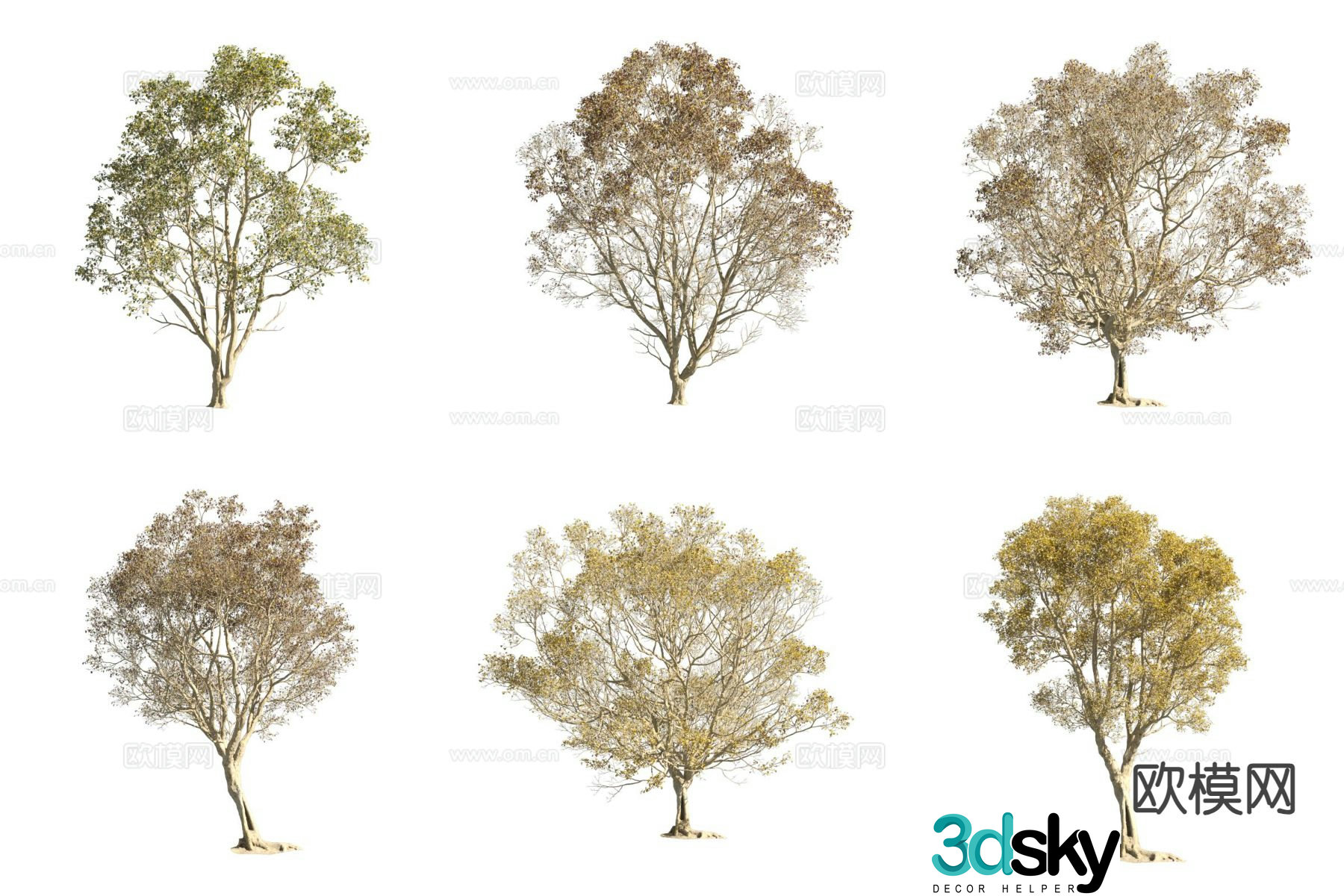 Beech tree light leaf geese landscape tree street tree 3d model