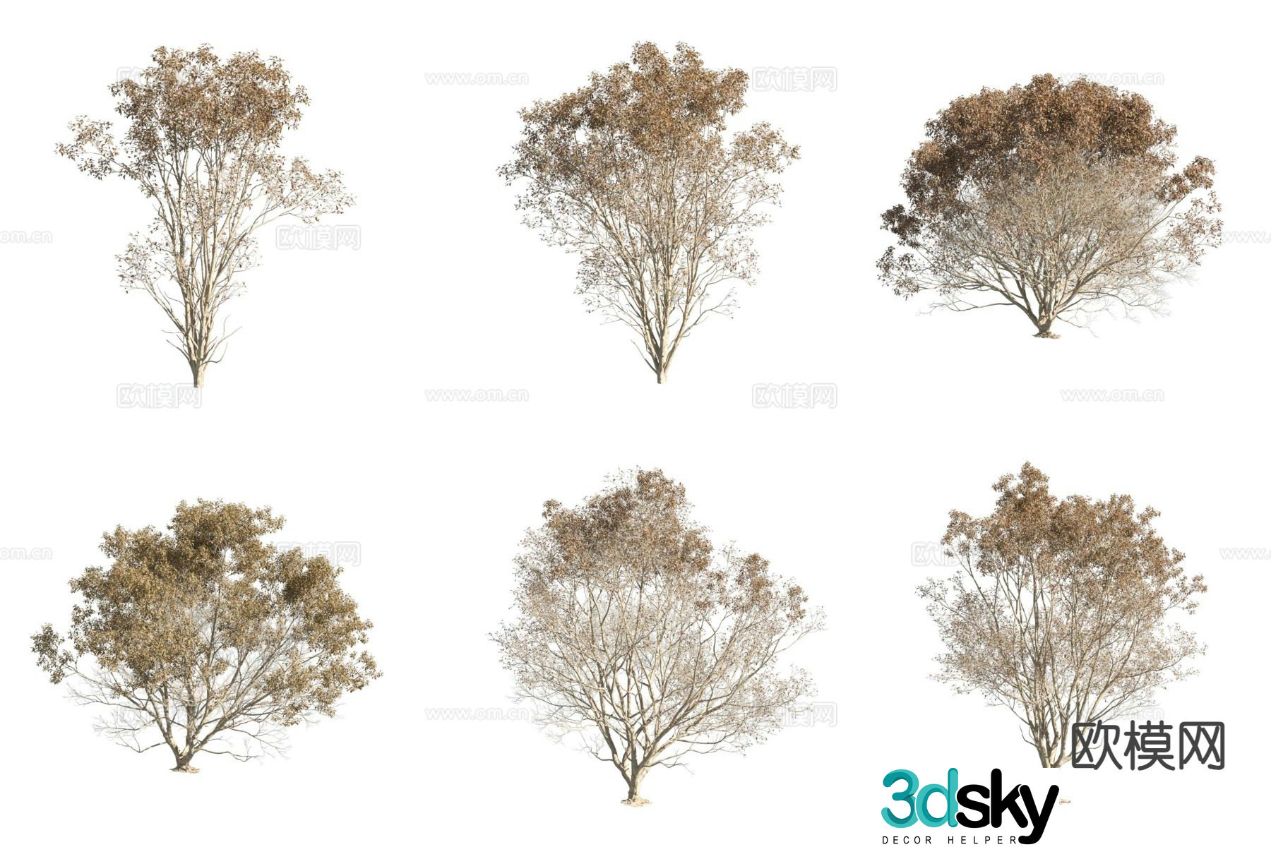 Hangzhou elm tree landscape tree street tree autumn leaves 3d model