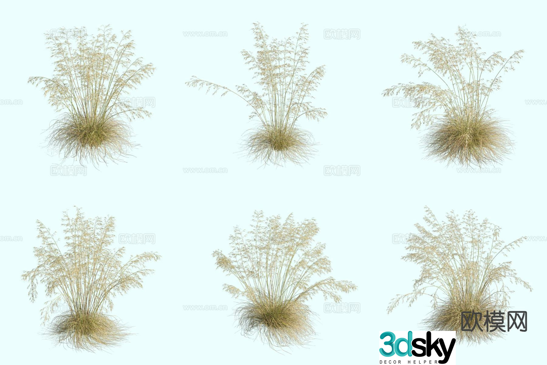 Giant pinnail ornamental grass thatch 3d model