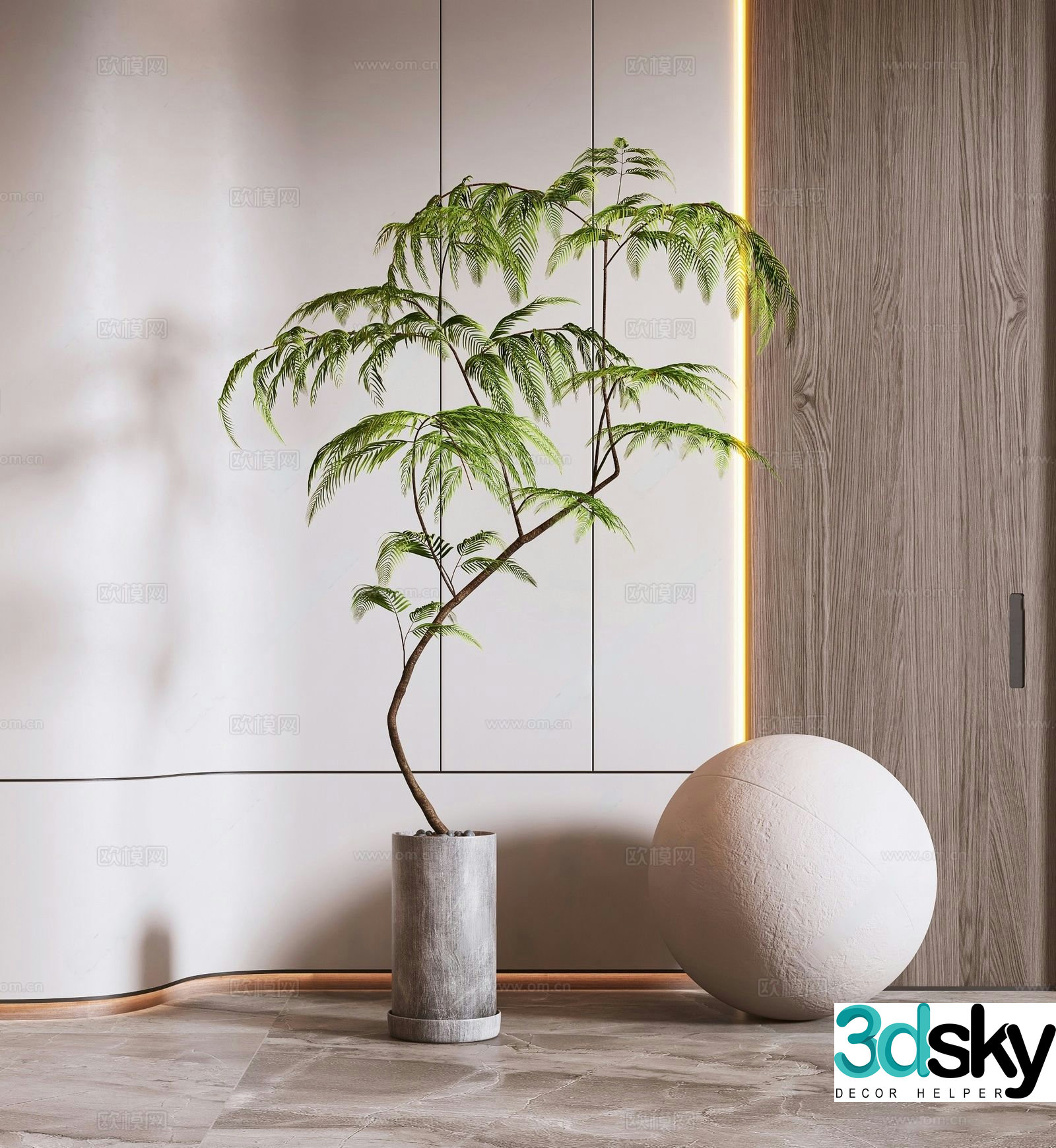 Fern green plants potted plants 3D model