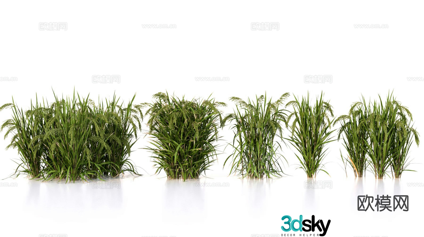 Planting rice crop 3d model