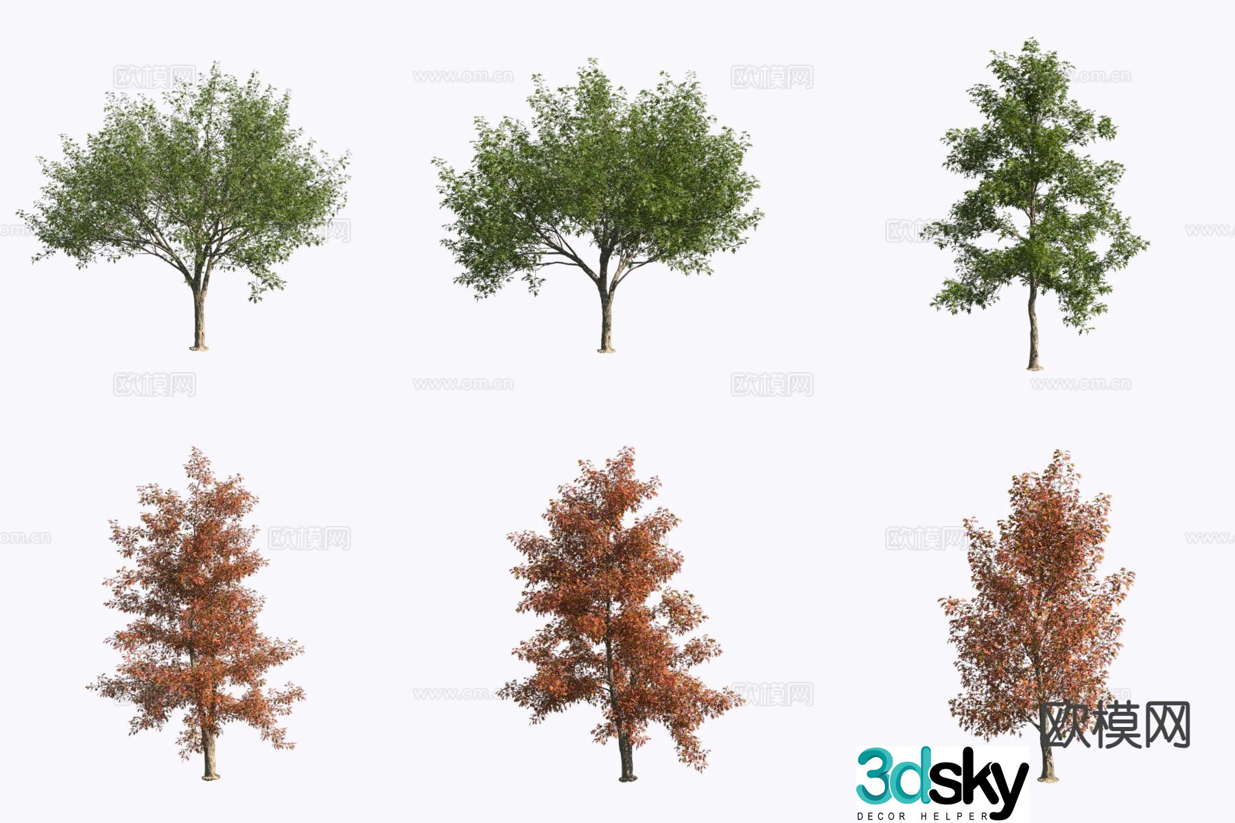 3D model of plant