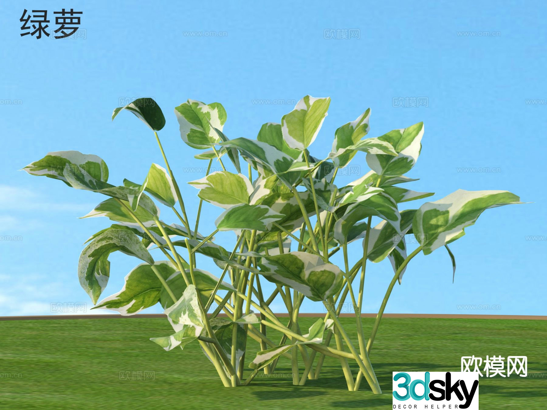 Green ivy flowers plants and shrubs plants 3D model