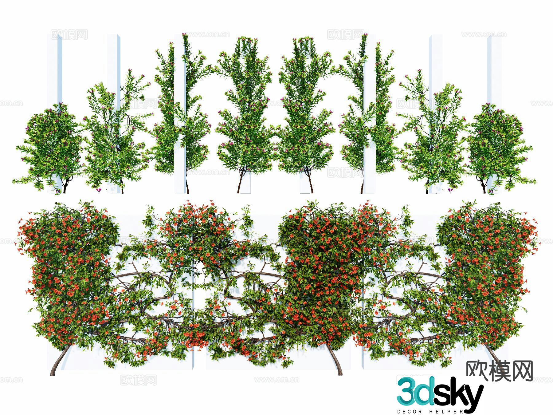 Modern climbing plant Lingxiao climbing rose ivy 3d model